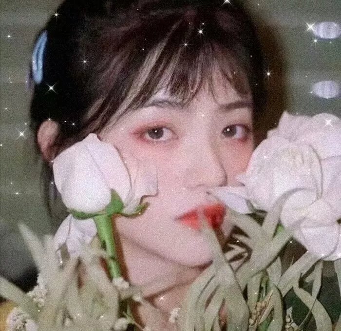 校花我爱你